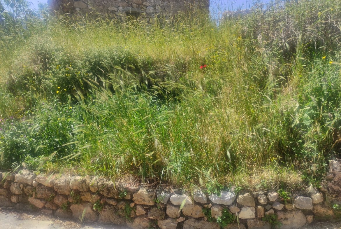 Οικόπεδο 480τμ στο Οίτυλο Μάνης