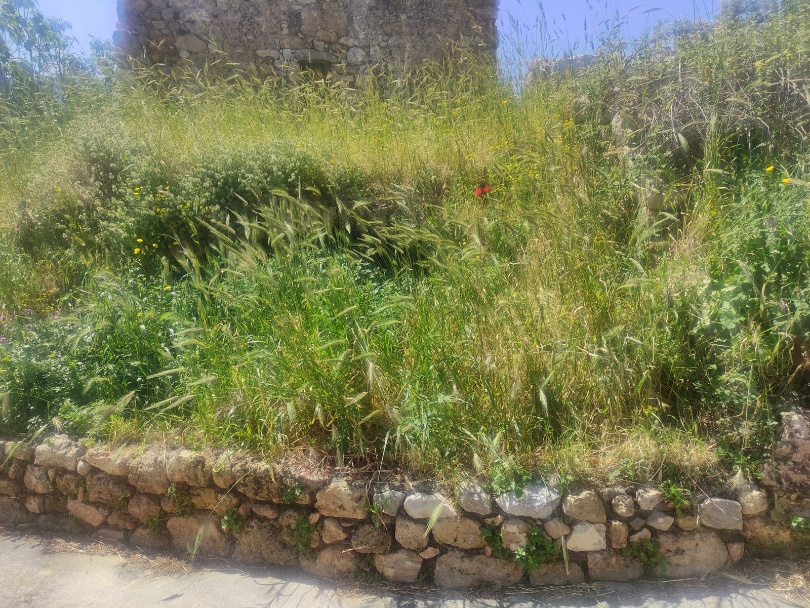 IMG_20260418_120238 Οικόπεδο 480τμ στο Οίτυλο Μάνης