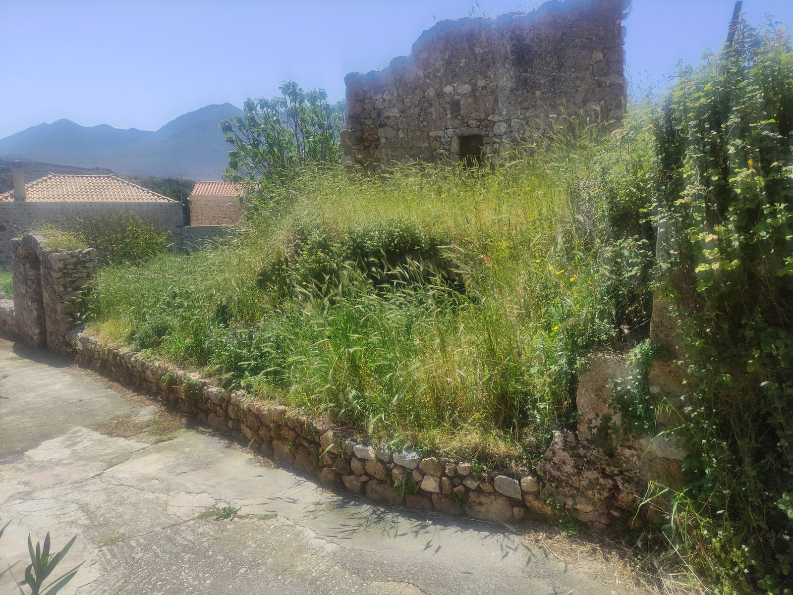 IMG_20260418_120245 Οικόπεδο 480τμ στο Οίτυλο Μάνης